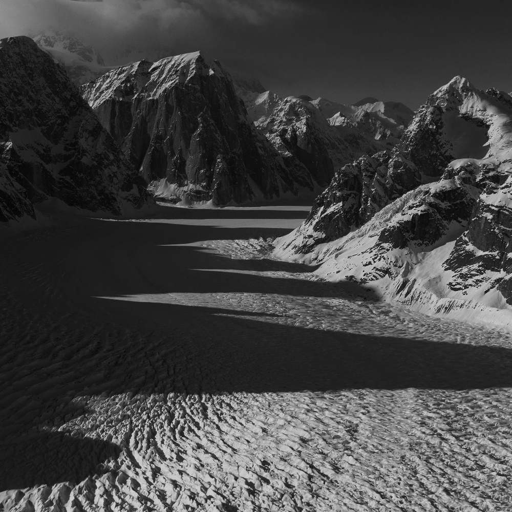 Meet your Posher, Sarahlikedaffodils